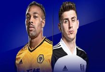 Nhận định kèo Wolves vs Fulham, 21h00 ngày 13/8