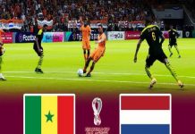 Nhận định kết quả Senegal vs Hà Lan, 23h ngày 21/11