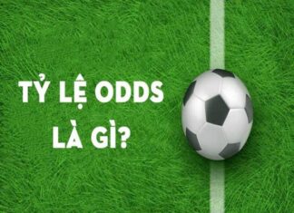 ODDS là gì?