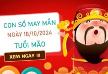 Cặp số đẹp tuổi Mão ngày 18/10/2024 ăn lộc trong ngày