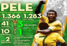 Những danh hiệu và thành tích của Pelé