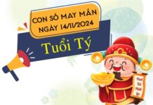 Con số tài lộc nở rộ tuổi Tý hôm nay ngày 14/11/2024