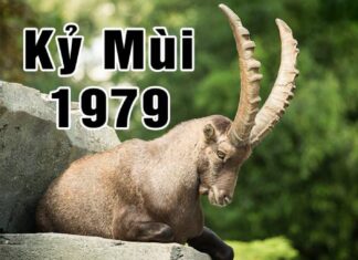 Tuổi Kỷ Mùi 1979 kỵ số nào?