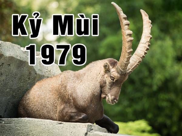 Tuổi Kỷ Mùi 1979 hợp với số nào để tránh vận xui rủi?