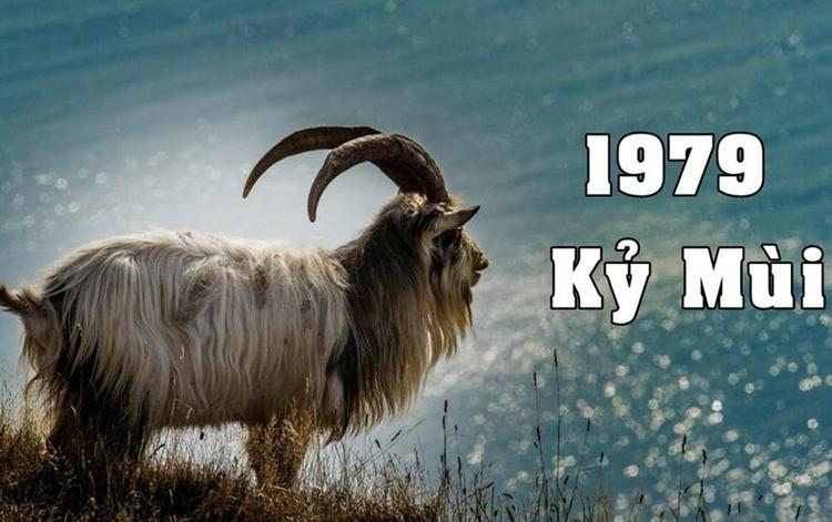 Tuổi Kỷ Mùi 1979 hợp với số nào để tránh vận xui rủi?