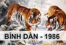 . Vận trình tử vi tuổi Bính Dần 3/11/2025