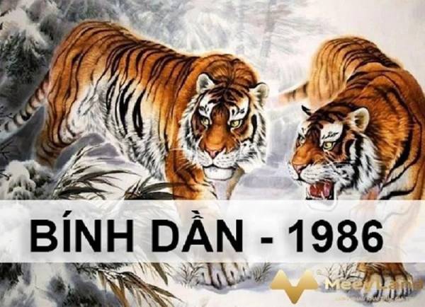 . Vận trình tử vi tuổi Bính Dần 3/11/2025