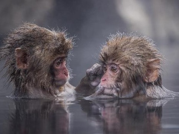 Gặp quý nhân với số đại cát tuổi Giáp Thân 29/11/2025