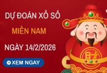 Dự đoán XSMN 14/2/2026 - Soi cầu Miền Nam thứ 7 thần tài